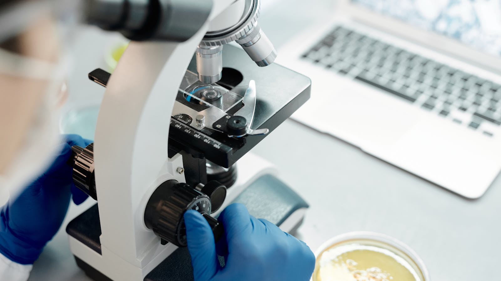 The Rise of Evidence-Based Wellness