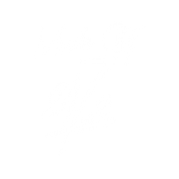 Muscle City